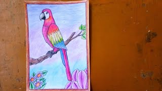 HOW TO DRAW PARROT MACAW step by step. Cara Menggambar Burung Kakatua Gradasi dengan Pensil Warna screenshot 1