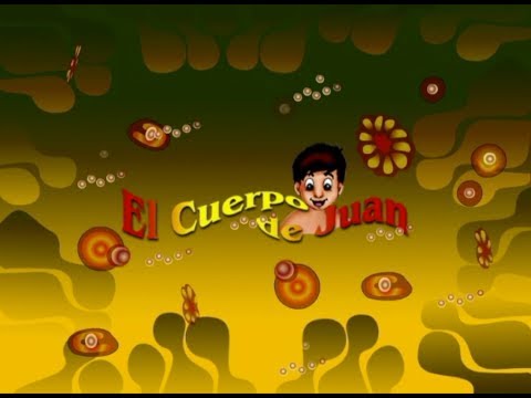 El Cuerpo de Juan 2 de 12 - APARATO CIRCULATORIO