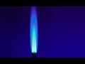 Harry’s Video Blog - The Pilot Light: Parshat Ki Teitzei