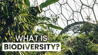 Why Is Biodiversity So Important? | Eden Project