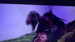 My Cat When He Wants Breakfast