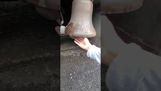 Ringing The Bell On Nj Transits Alp-44 4424