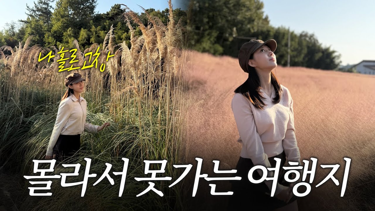 🇰🇷고창여행 | 가을 정취 제대로 느끼고온 이 곳, 소도시의 매력이 가득한!