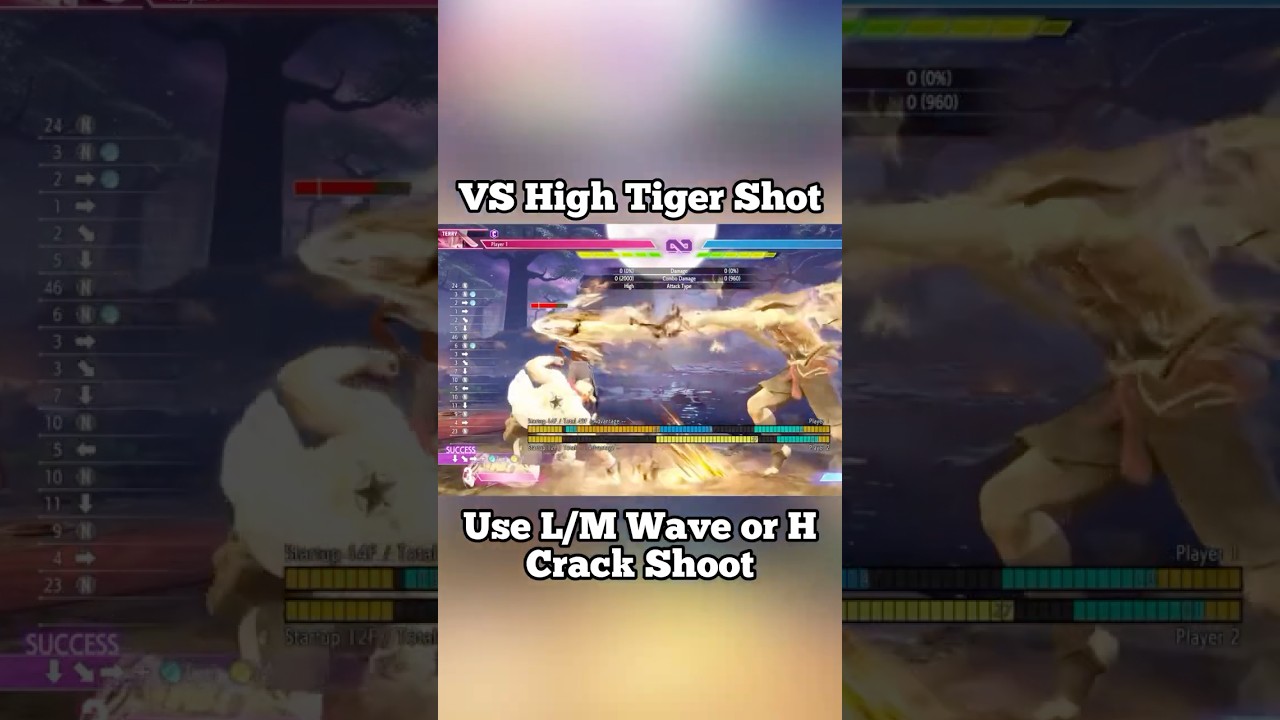Beat Sagat’s Tiger Shot with this Terry Tech! 