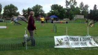 Fable - CKC Lethbridge