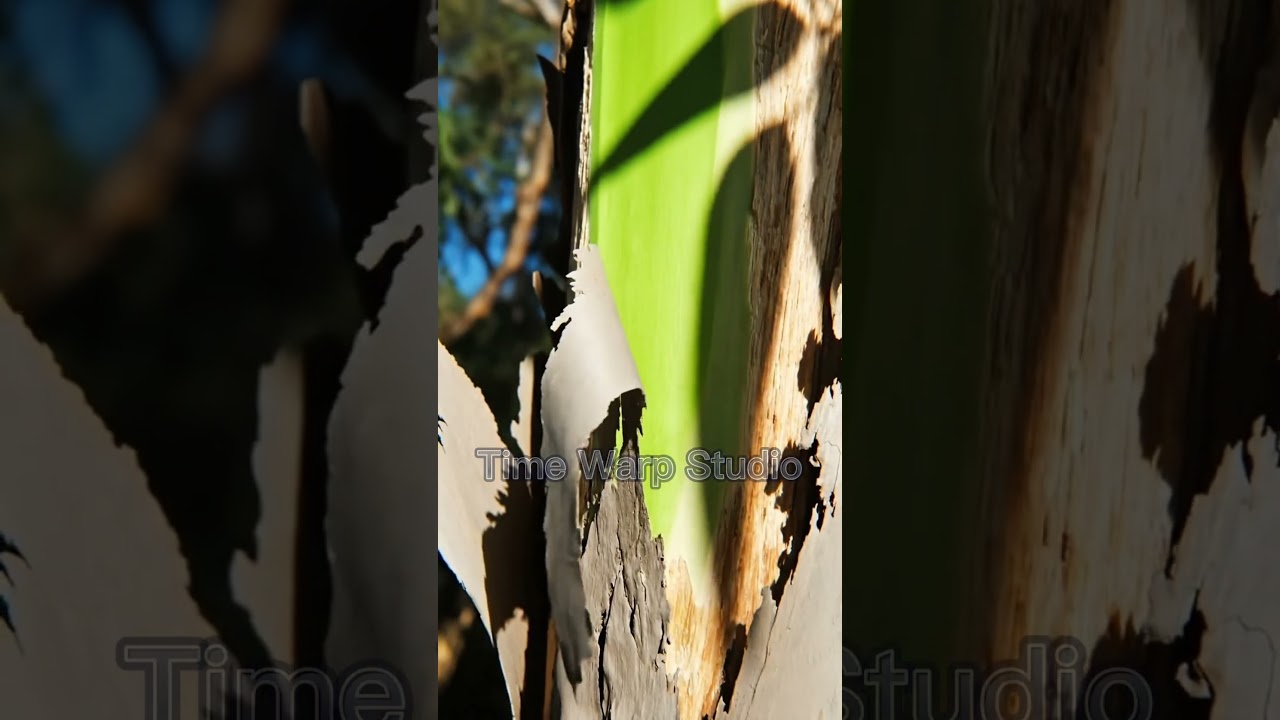 🌈 The Living Painting: The Tree That Paints Itself 🎨🌳 