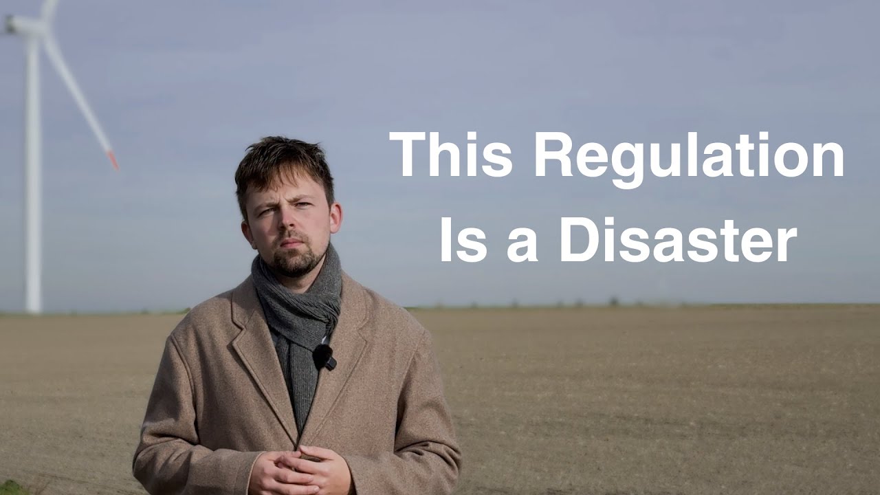 The Harsh Reality: Are the EU Rules Killing Renewable Hydrogen?