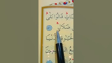سورة غافر الأية 50 إلى 53 القارئ سعد الغامدي