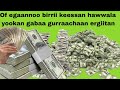Of Egaannoo Birrii Warrii Karaa Hawwala Yookan Gabaa Gurraachaa Ergaattan 