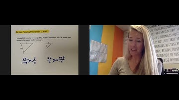 Delta Math - Similar Figures/Proportion (Level 1)