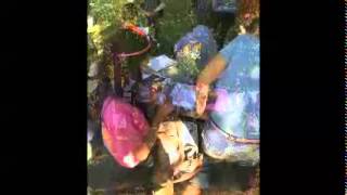 Wetland Adventure 2014