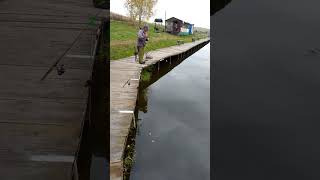 правильный подбор блесны на форель.