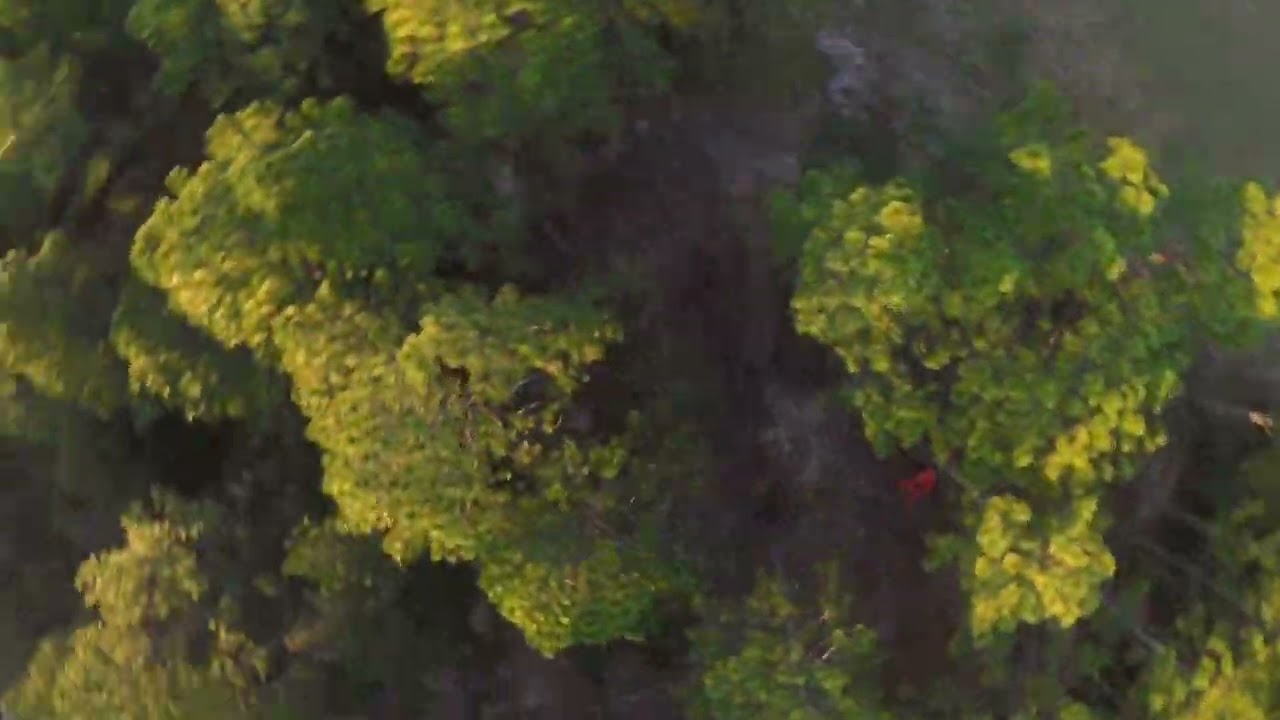 No Quarter Ranch FREESTYLE.