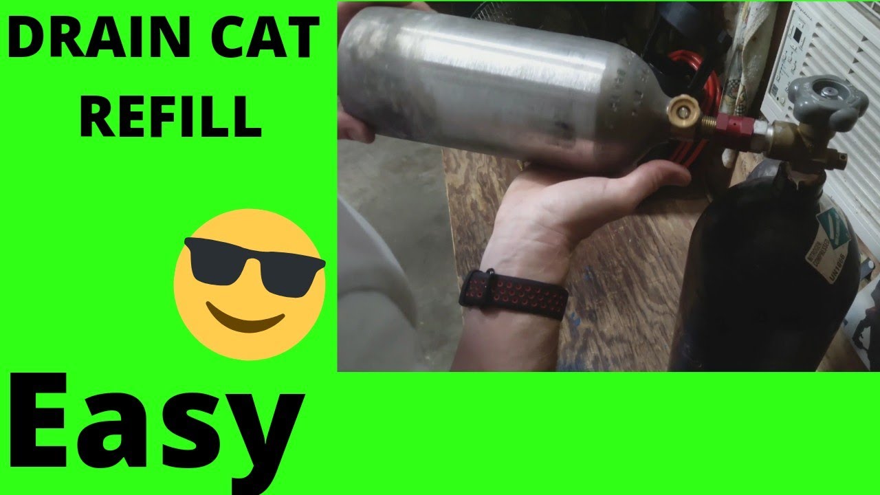 HVAC Drain Cat HVAC Tips YouTube