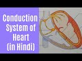 Conduction system in heart in hindi  heart contraction mechanism cardiovascular system