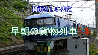 JR貨物 2021/06/16 生憎の雨 早朝の貨物列車5本