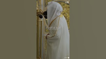 مقتطف من تلاوة فضيلة الشيخ #عبدالله_القرافي من صلاة التهجد ليلة ٢١ رمضان ١٤٤٦هـ.