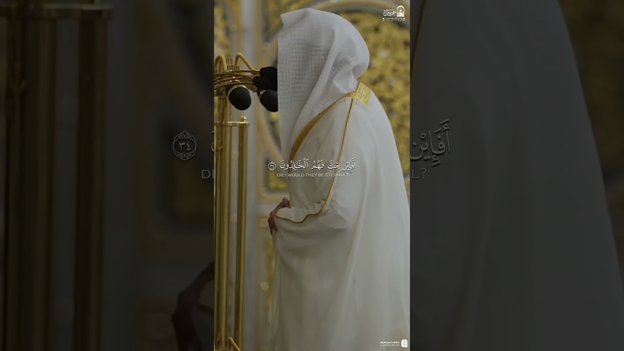 مقتطف من تلاوة فضيلة الشيخ #عبدالله_القرافي من صلاة التهجد ليلة ٢١ رمضان ١٤٤٦هـ.