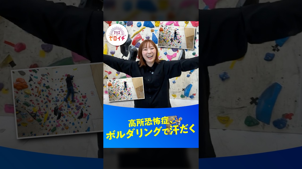 ナミエシンカ