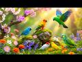 Spring Birdsong Healing Piano Gentle Music for Focus Study and Calm Your Mind mp3