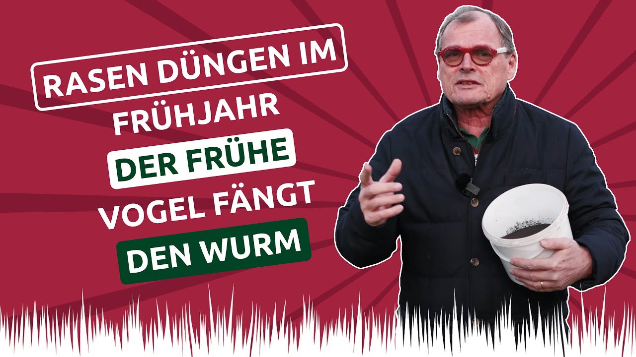 Rasen dngen: Tipps zur Rasendngung - Rasenpflege