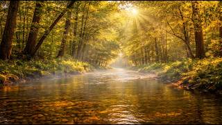 Calm Streamside Ambience & Relaxing Music for Focus, Wellness & Inner Peace 🍃🌊💚