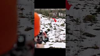 hunting deer outstanding shot #deer #hunting #chasse #deerhunting #caccia #chase #moose