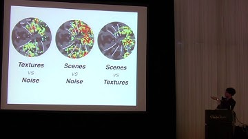 Jeremy Freeman - VSS 2014 Symposium