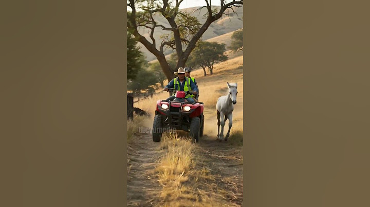 Horse Calf Rescues It Mother With The Help Of Construction Workers! #rescue #wildlife #animals