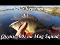 Река Березина. Окунь 500г на Jackall Mag Squad 115SP, Щука 1400г на Flash minnow 110SP