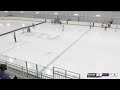 Stj hockey u8 vs fred freeze