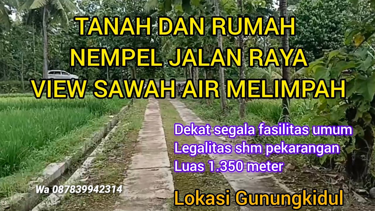 TANAH DAN RUMAH NEMPEL JALAN RAYA VIEW SAWAH AIR MELIMPAH