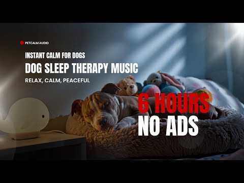Dog Sleep Therapy