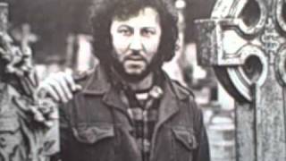Rattlesnake Guitar "Long Grey Mare" written by Peter Green The Music of Peter Green w/Harvey Mandel
