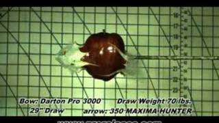 Apple Hit with small game tip - Slow Motion screenshot 1