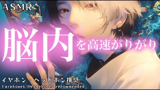 【ASMR】scratching your brain fast【No Talking】脳を高速で引っ掻く音