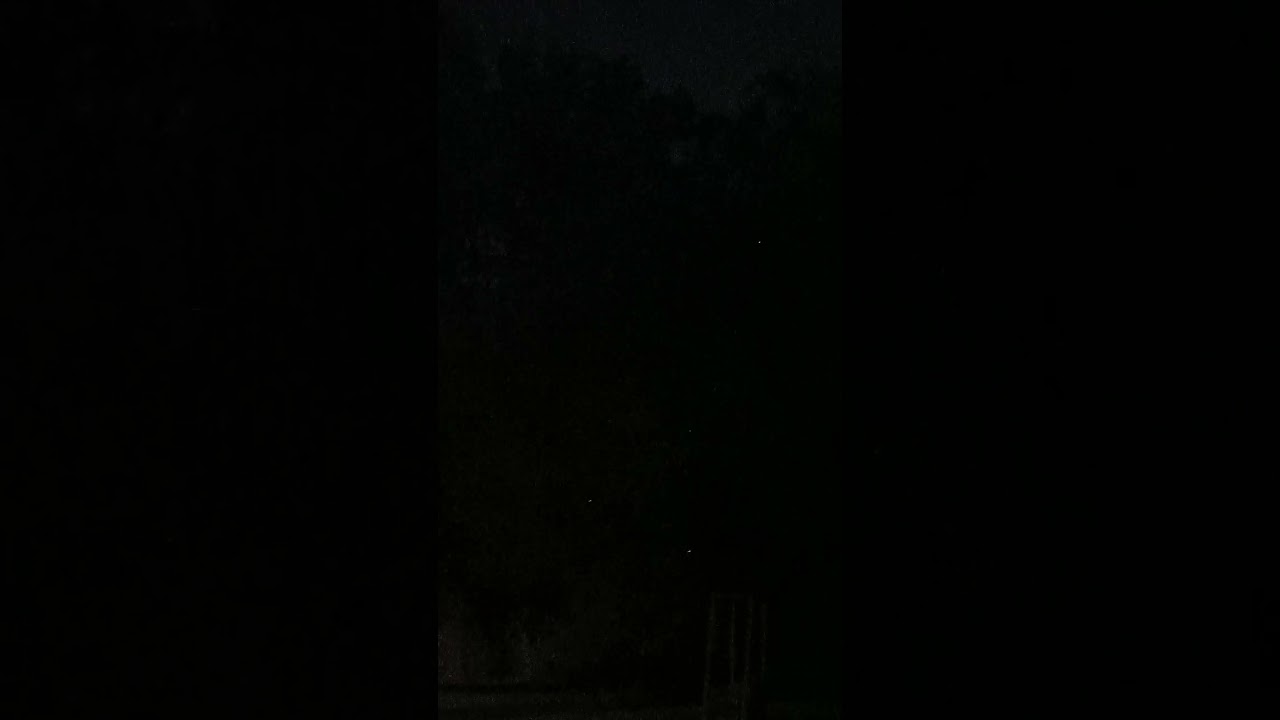 A lot of lightning bugs early in the night. I love lightning bugs. Makes me happy to see em talking 