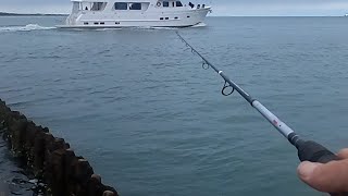Bluefish: Lost Huge Red Drum Bull.. EPIC FIGHT