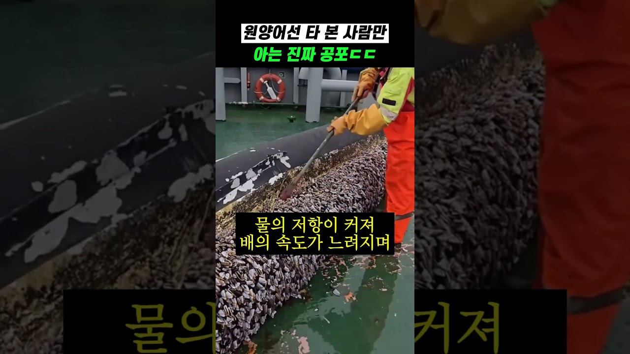원양어선 타 본 사람만 아는 진짜 공포ㄷㄷ