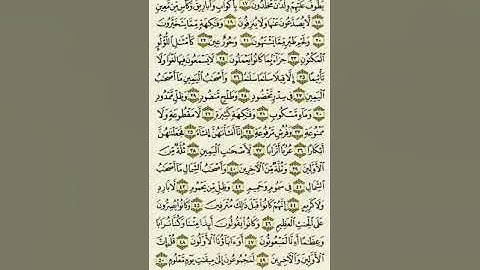 سورة الواقعة من الآية ١٧ إلى الآية ٥٠بصوت القارئ ماهر المعيقلي