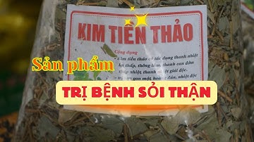 Giá Kim Tiền Thảo Khô 90k/1kg | tháng 5/2025