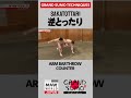 #Sumo Technique: SAKATOTTARI