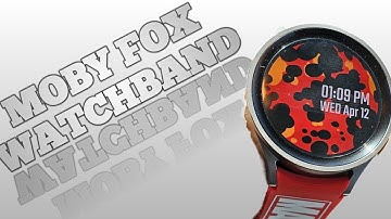 Moby Fox Watchband Review