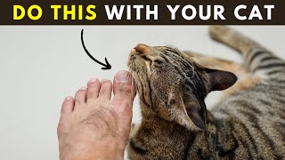 15 Simple Ways to Tell Your Cat You Love Them in a Language They Understand by Cats Insider  1,251 views 3 weeks ago 8 minutes, 30 seconds