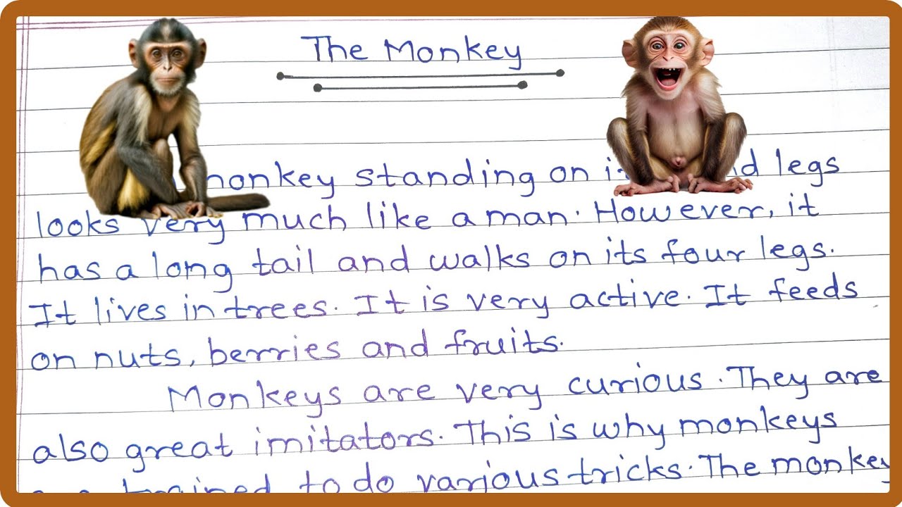 Monkey Essay in English | Essay on Monkey 🐒 | 10 lines on Monkey in English