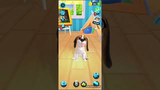 Tamadog - How to Play with My Dog - 16.12. 2020 - 27. 12. 2022 screenshot 4
