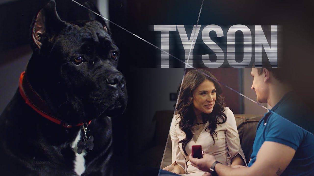 Tyson. Partes 1-4 | Películas Completas en Español Latino