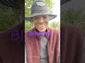 Blooming Beauty - My Country Garden #thepetalplaceproperty #shortvideo #shorts #short #naturelovers