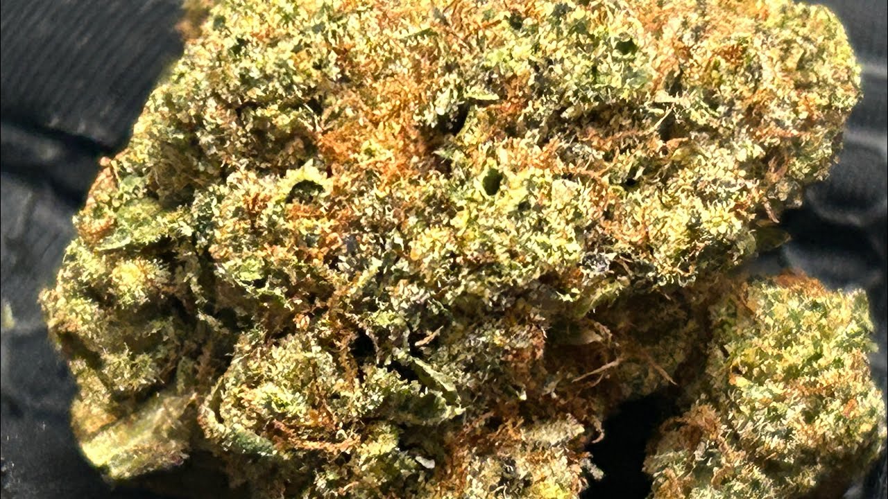 Smoke and Ride | Cannabis Creation | FloraCal Farms La La Land | High Supply Super Shake Zushi | 