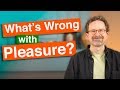 What's wrong with pleasure?